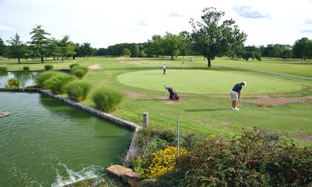Disc Golf Courses Soar in Popularity