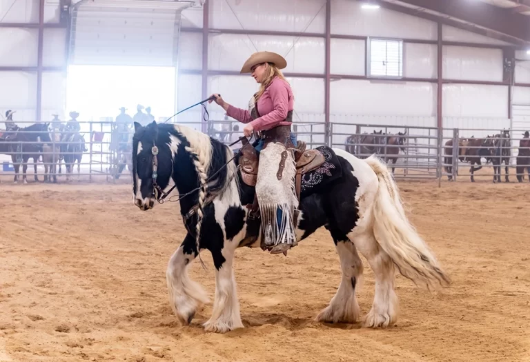Davis Agricultural Heritage Center Davis 1 768x525