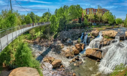 Extend Your Stay in South Carolina: Family Fun Beyond the Games