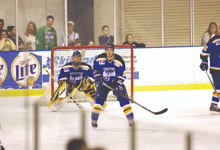 NELSON CENTER Springfield IL 1 768x525