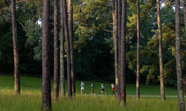 Sports + Experiences: How Mississippi Is Blending Competition with Culture to Enhance Event Value