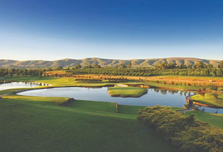 SPG2020 YV Apple Tree 768x525