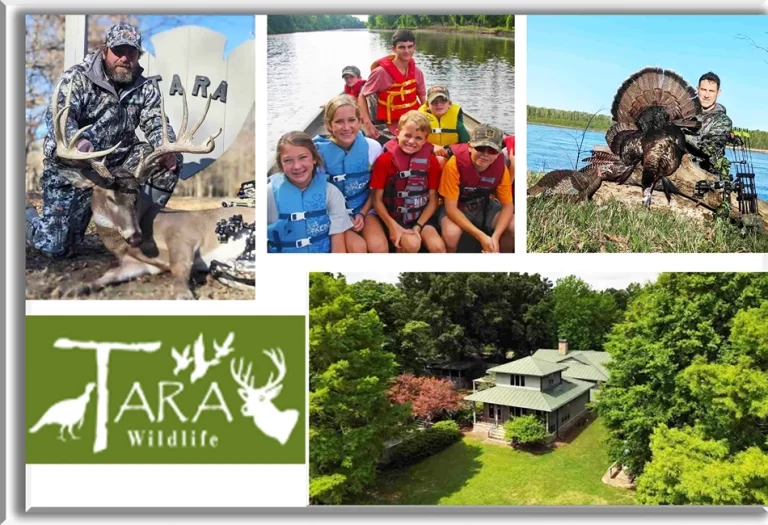 Tara Wildlife Collage 1 768x525