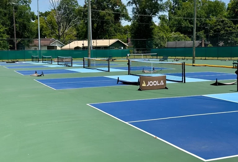 Wagner Pickleball 768x525