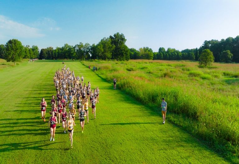 DJI 0777.00 01 51 04.Still001 1 768x525