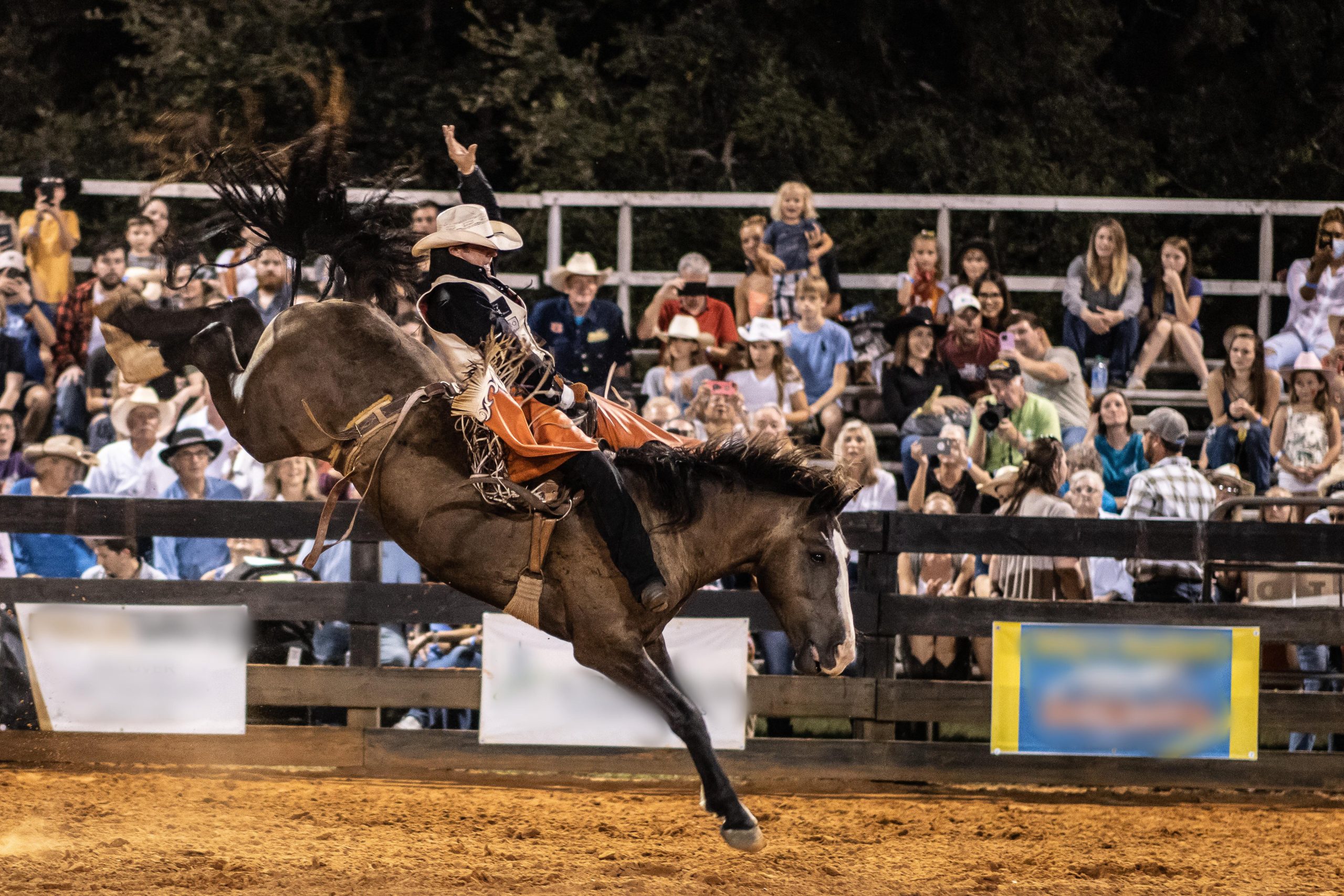 Horse Racing Horse Racing