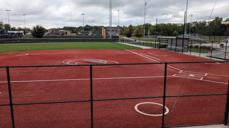 Legacy Fields at the Sportsplex 2 768x432