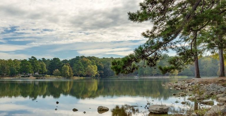 Craighead Forest Park 1 768x397