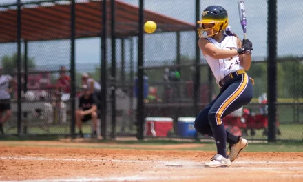 Youth Softball’s Future: Safety, Tech and Performance Trends