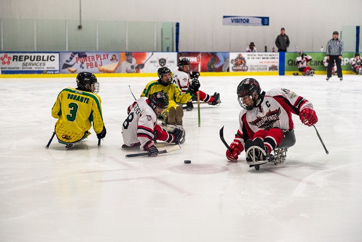 2019 Turnstone Sled Hockey SportONE Icehouse