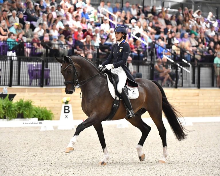 Dressage Indoor Arenas 2024 116 768x614